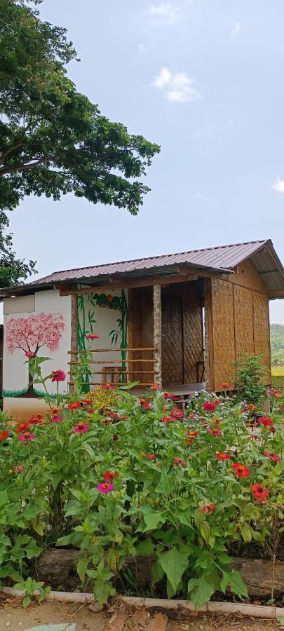 Kaewma Farmstay Khuang Kom Esterno foto