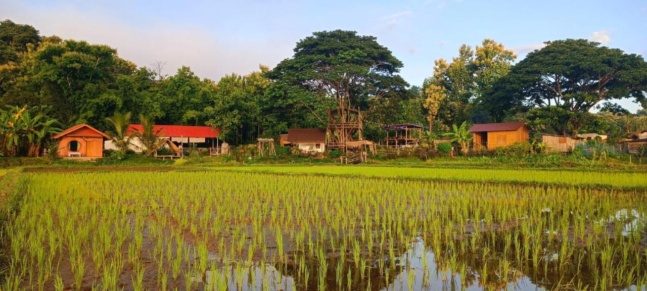 Kaewma Farmstay Khuang Kom Esterno foto
