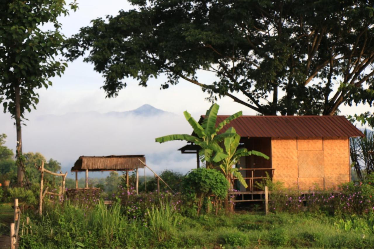 Kaewma Farmstay Khuang Kom Esterno foto