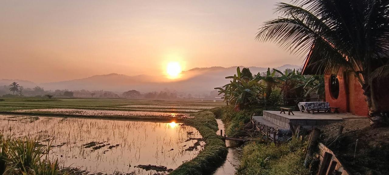 Kaewma Farmstay Khuang Kom Esterno foto