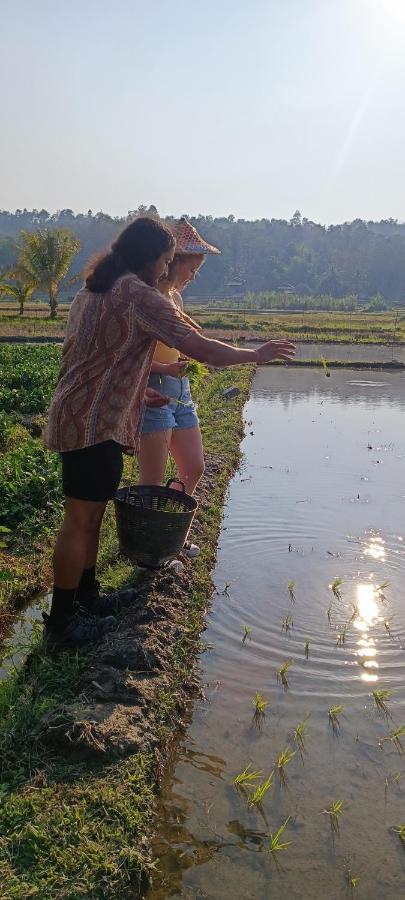 Kaewma Farmstay Khuang Kom Esterno foto