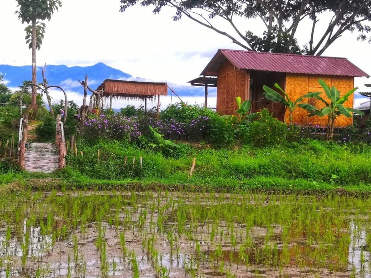 Kaewma Farmstay Khuang Kom Esterno foto