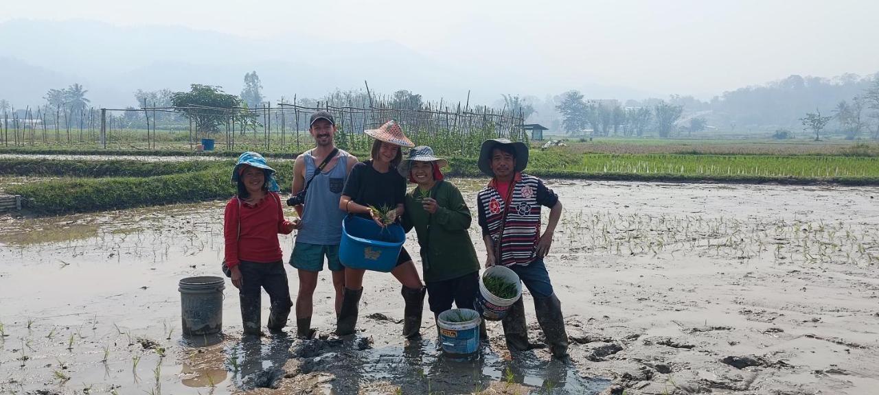 Kaewma Farmstay Khuang Kom Esterno foto