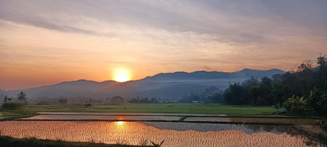 Kaewma Farmstay Khuang Kom Esterno foto