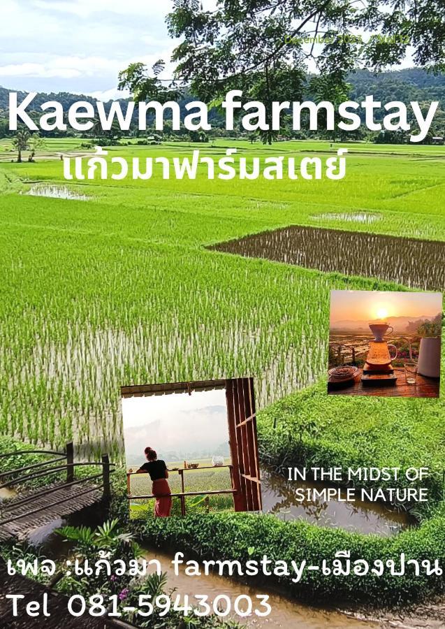 Kaewma Farmstay Khuang Kom Esterno foto