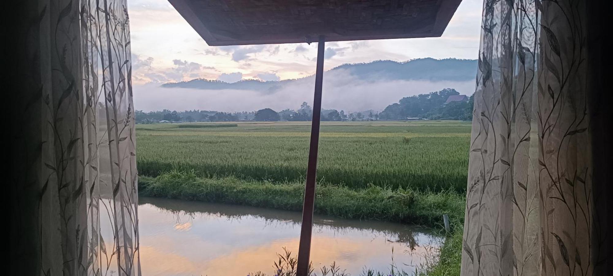 Kaewma Farmstay Khuang Kom Esterno foto