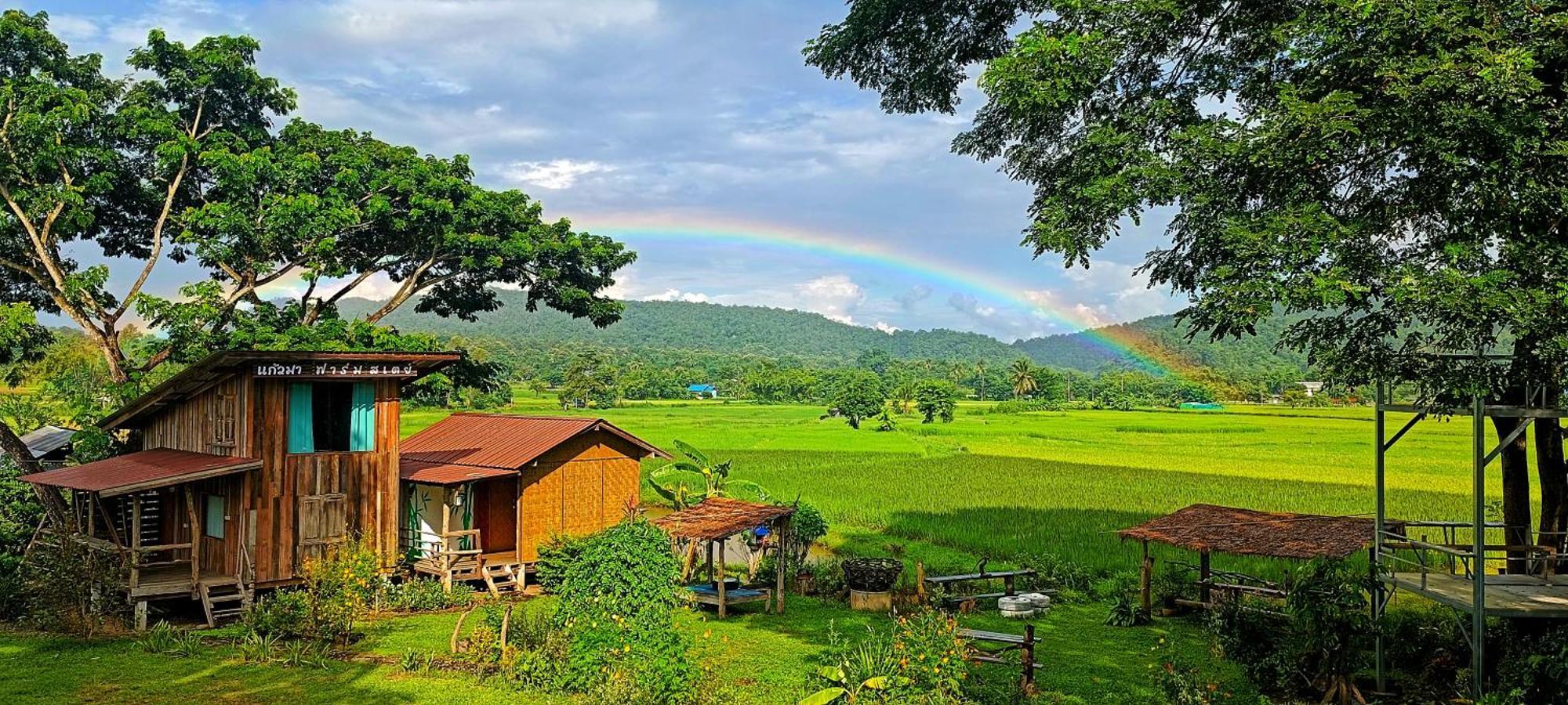 Kaewma Farmstay Khuang Kom Esterno foto
