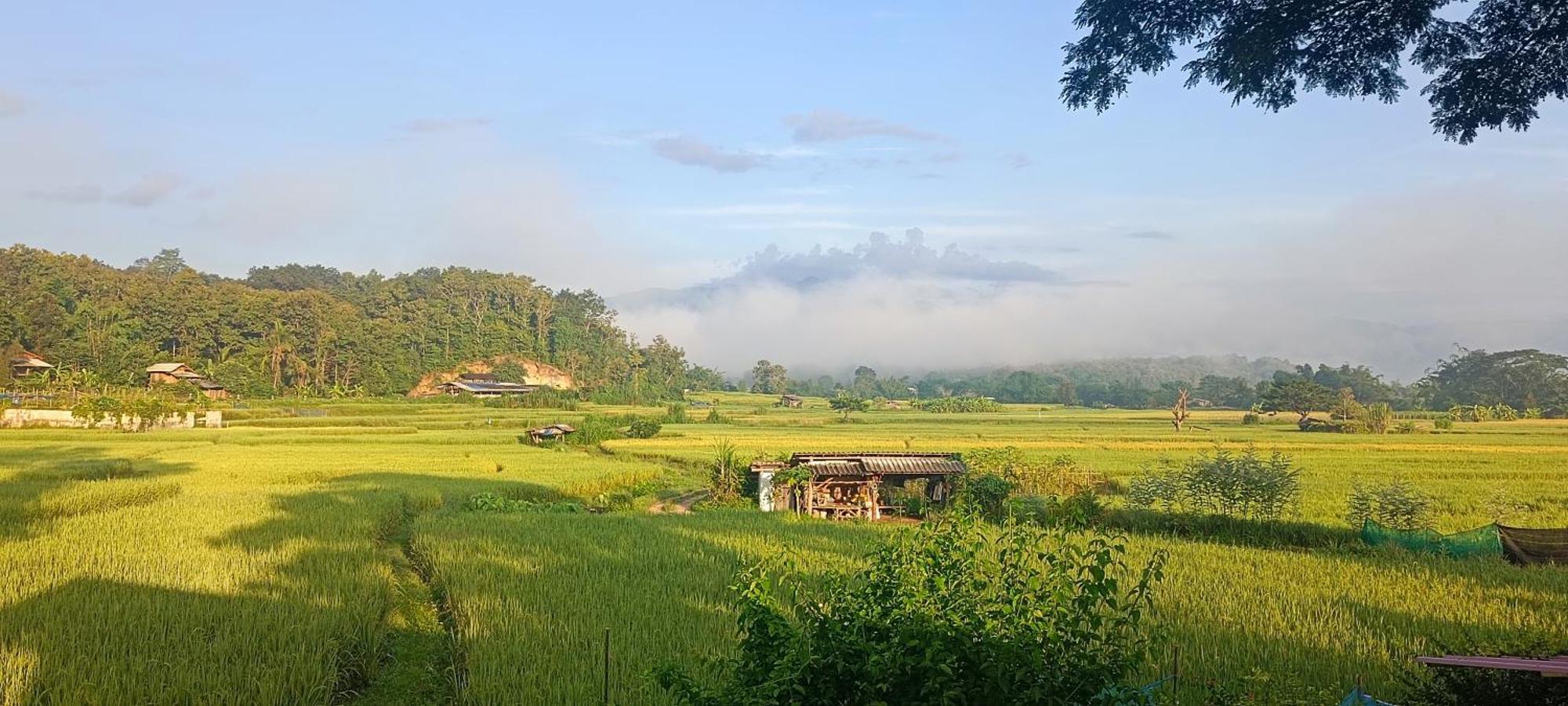 Kaewma Farmstay Khuang Kom Camera foto